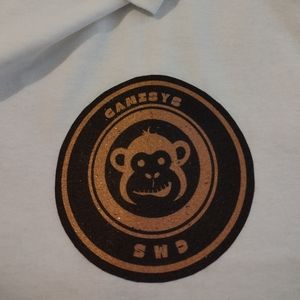 Graphic T meditated third eye opened monkey